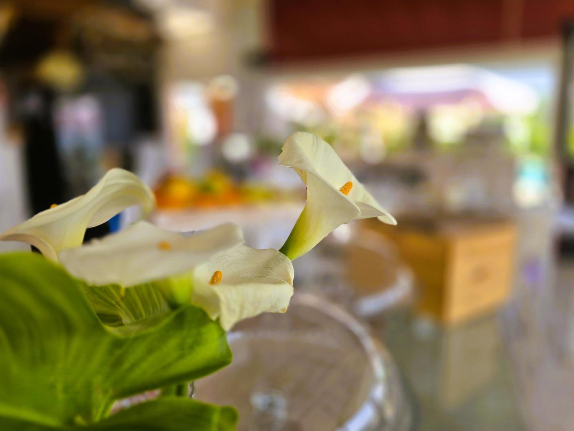 Apart-hotel Relais Olivi 3*